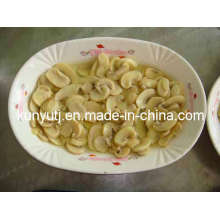 Canned Mushroom Pns with High Quality